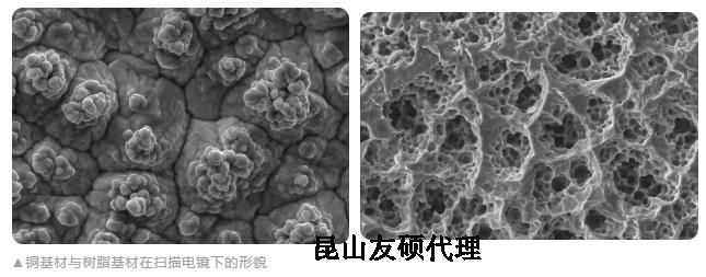 哈尔滨蔡司哈尔滨扫描电镜